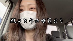 ビビッドアーミーのCMに出る為の用意をしようとしたけどビビッドアーミーのせいで色々捗らない女